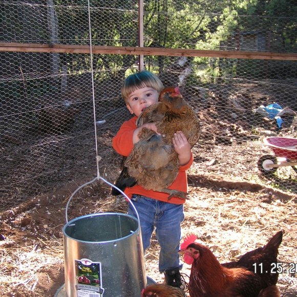 Meet your Posher, Marian - Picture 1 of 3